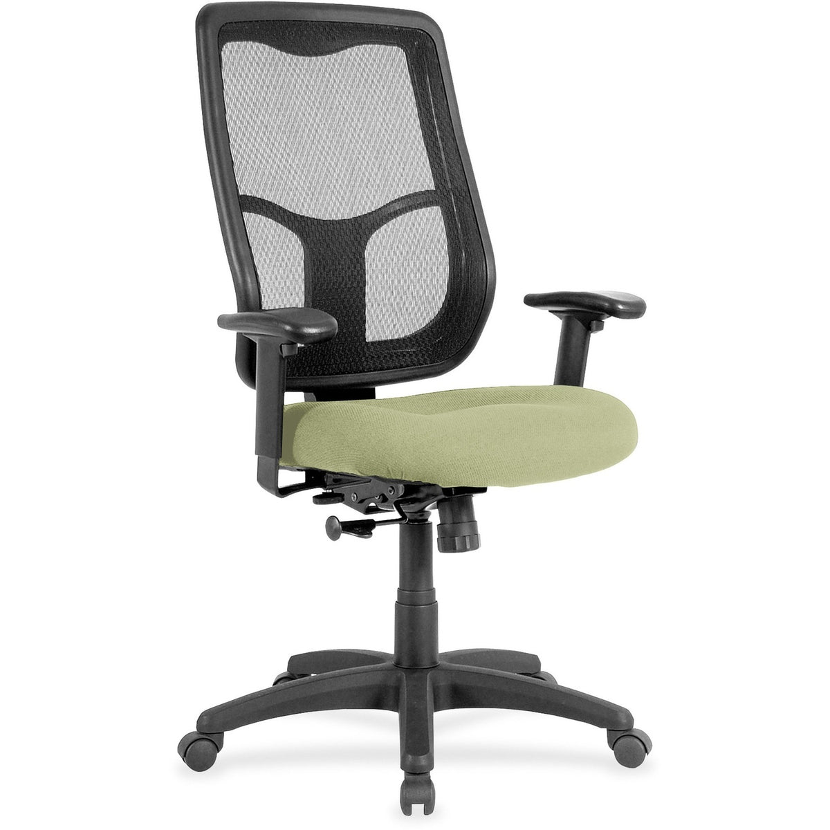 Eurotech Apollo High-back with Ratchet Back - Sage Seat Color - Fabric, Vinyl Seat Material - High Back - 5-star Base -