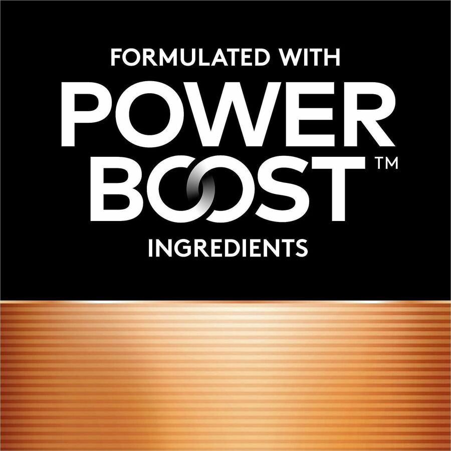 Duracell CopperTop Alkaline AAA Batteries - 24 / Pack