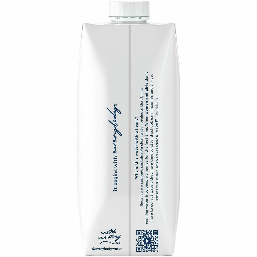 Everybody Water Unflavored Water - 16.90 fl oz (500 mL)