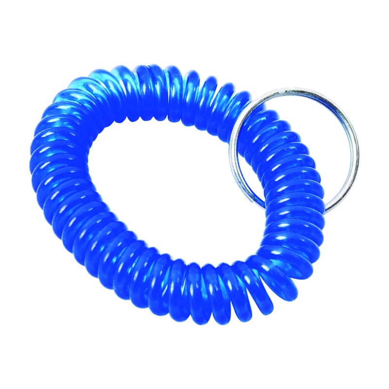 Home Plus Vinyl Blue/Silver Coiled Key Ring