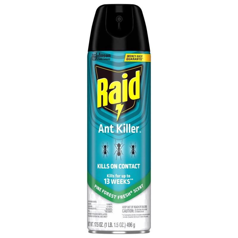 Raid Ant Killer Aerosol 17.5 oz