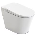 Anzzi Envo Echo 1.28 gal White Elongated Complete Toilet