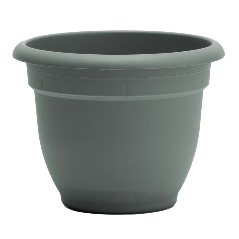 Bloem Ariana 5.25 in. H X 6.5 in. W X 6 in. D Plastic Traditional Planter Basil