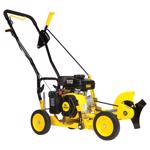 Champion Gas Edger
