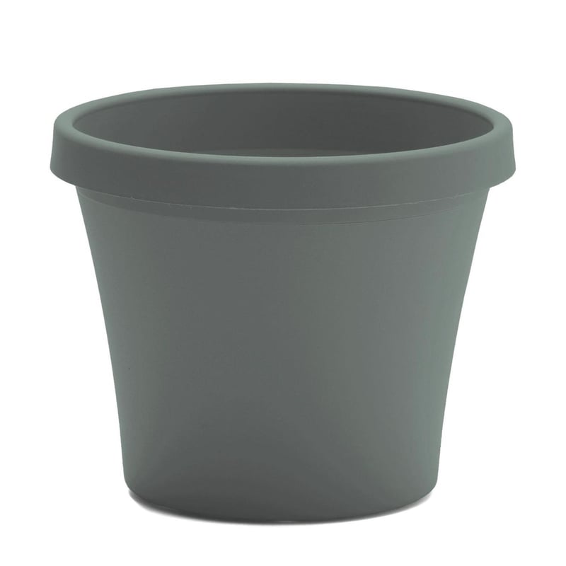 Bloem Terra 8.5 in. H X 10.75 in. W X 7.5 in. D Plastic Traditional Planter Basil