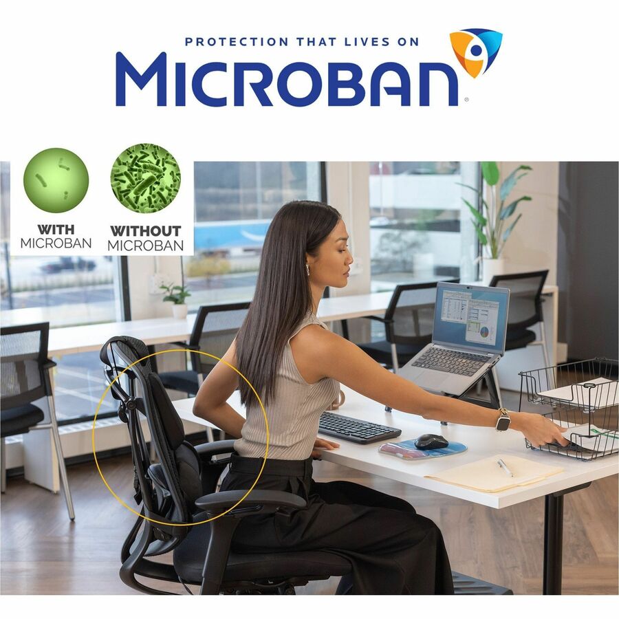 Fellowes Professional Series Microban Protection Back Support - Strap Mount - Black - Fabric, Memory Foam - 1 Each