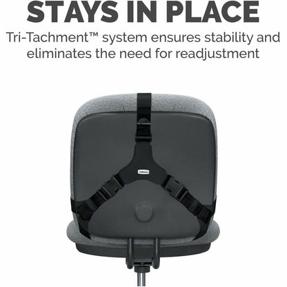 Fellowes Professional Series Microban Protection Back Support - Strap Mount - Black - Fabric, Memory Foam - 1 Each