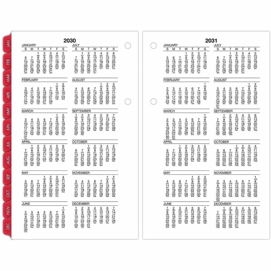 At-A-Glance Burkhart's Day Counter Loose-Leaf Desk Calendar Refill - Large - Julian Dates - Daily - 12 Month - January 2