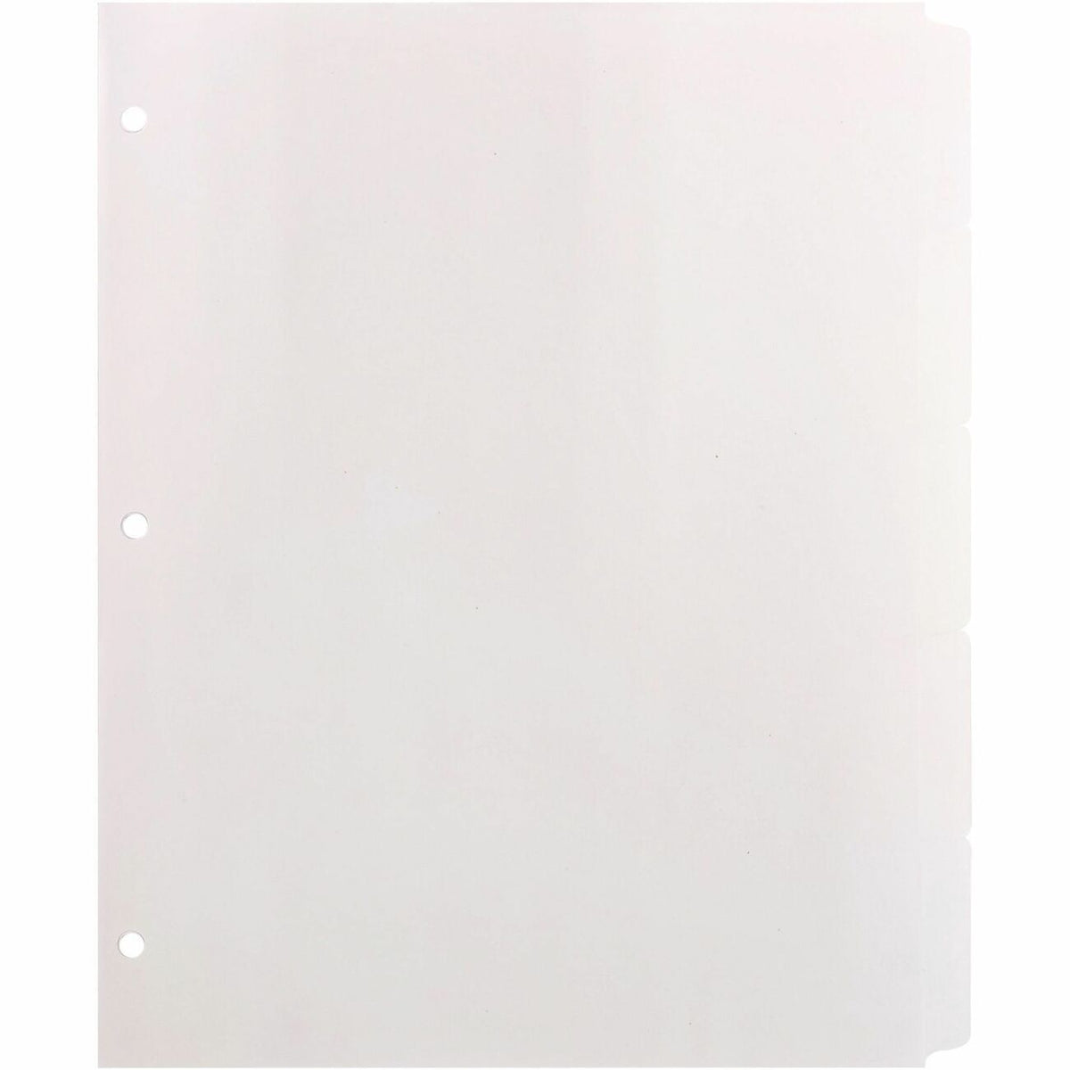 Business Source Reinforced Hole Punched Indexes - 5 Write-on Tab(s) - 5 Tab(s)/Set - 3 Hole Punched - White Divider - 10