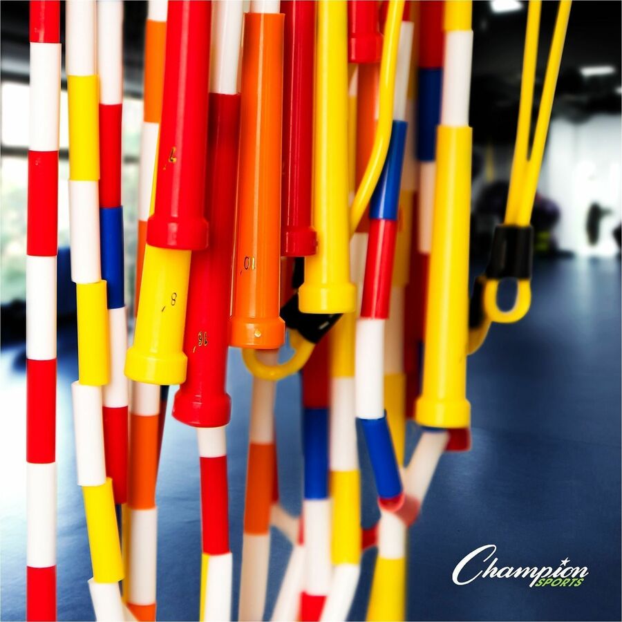 Champion Sports Variety Playground Set - Assorted - 1 Set