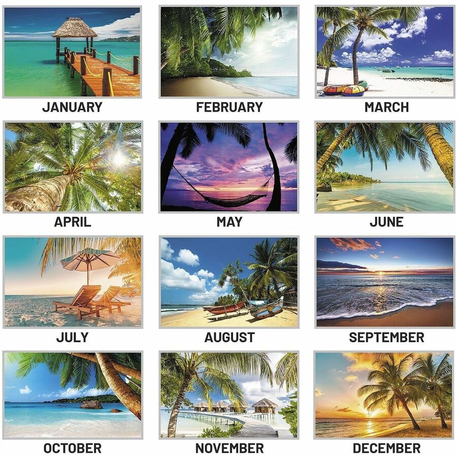 At-A-Glance Tropical Escape Wall Calendar - Medium - Julian Dates - Monthly - 12 Month - January 2027 to December 2027 -