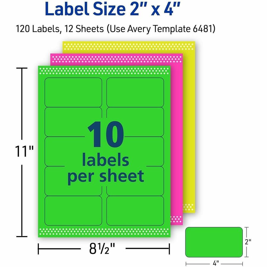 Avery® Multipurpose Label - x 2" Width x 4" Length - Removable Adhesive - Rectangle - Inkjet, Laser - Matte - 120 / Pack