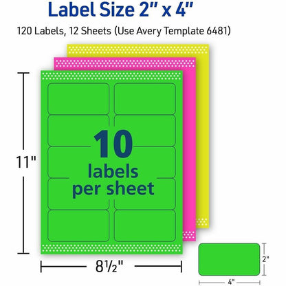 Avery® Multipurpose Label - x 2" Width x 4" Length - Removable Adhesive - Rectangle - Inkjet, Laser - Matte - 120 / Pack