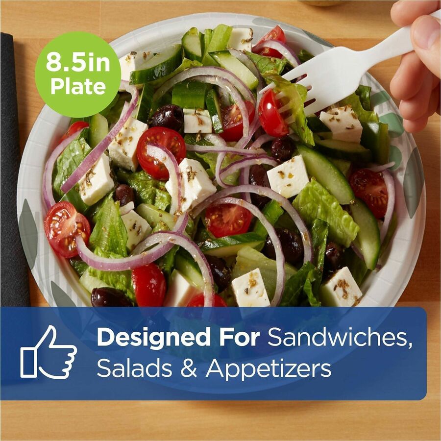 Dixie Foods Pathways Everyday Paper Plates - Breakroom - Pathways - Microwave Safe - 8.1" Diameter - White - Paper Body 