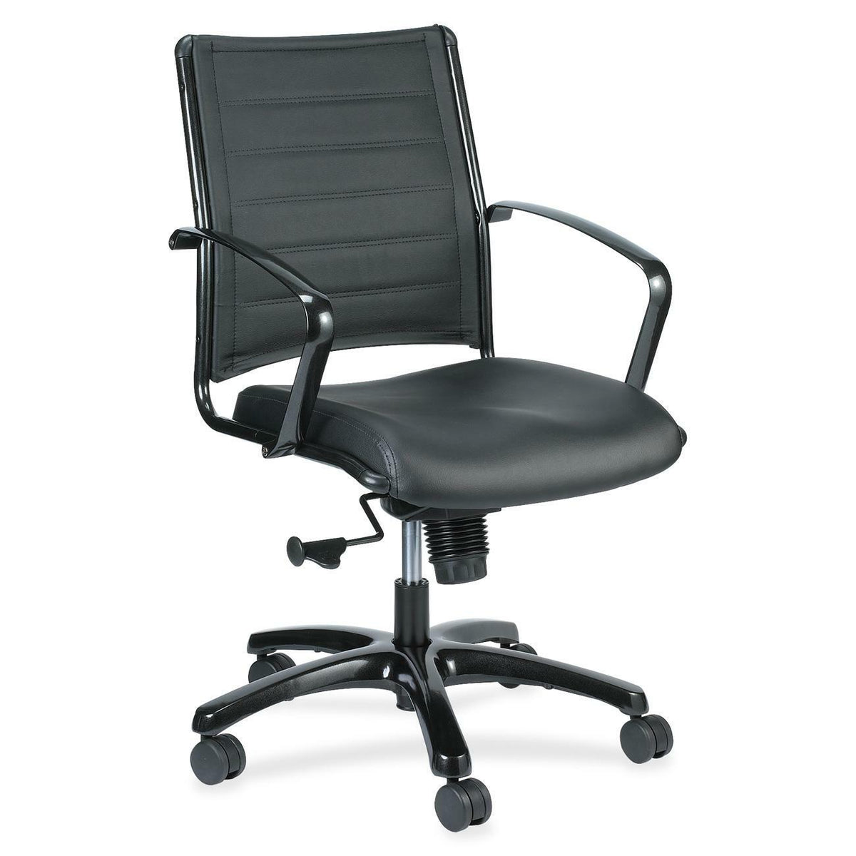 Eurotech Europa Titanium Frame Executive Chair - Black Seat Color - Leather Seat Material - Black Back Color - Leather B