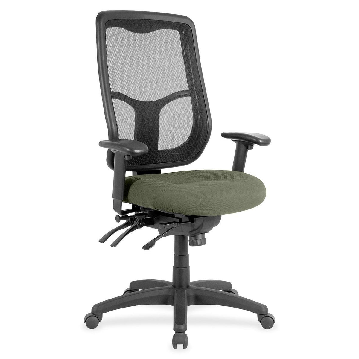 Eurotech Apollo High Back Multi-funtion Task Chair - Sage Seat Color - Fabric Seat Material - 5-star Base - Shire Sage -