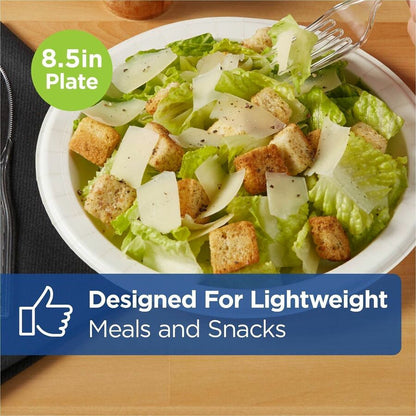 Dixie Basic® 8-1/2" Lightweight Paper Plates by GP Pro - Microwave Safe - 8.5" Diameter - White - Paper Body - 125/Pack 