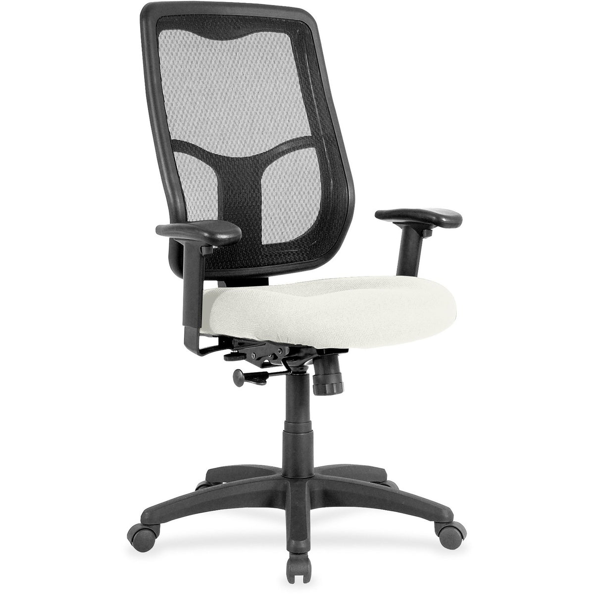 Eurotech Apollo High-back with Ratchet Back - Snow Seat Color - Fabric, Vinyl Seat Material - High Back - 5-star Base - 