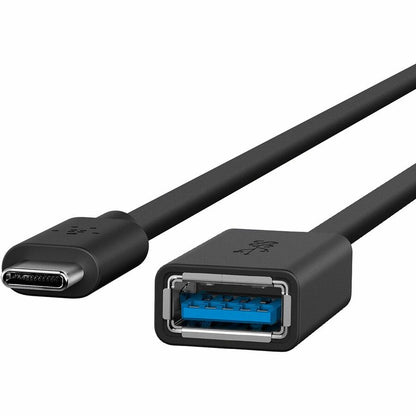 Belkin Sync/Charge USB Data Transfer Cable - 6" USB Data Transfer Cable for Flash Drive, Keyboard, Mouse - First End: 1 