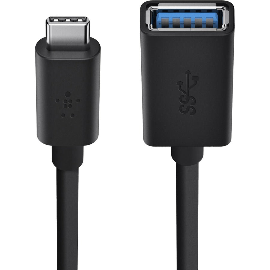 Belkin Sync/Charge USB Data Transfer Cable - 6" USB Data Transfer Cable for Flash Drive, Keyboard, Mouse - First End: 1 