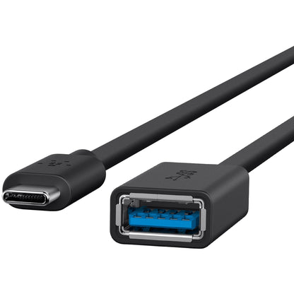 Belkin Sync/Charge USB Data Transfer Cable - 6" USB Data Transfer Cable for Flash Drive, Keyboard, Mouse - First End: 1 