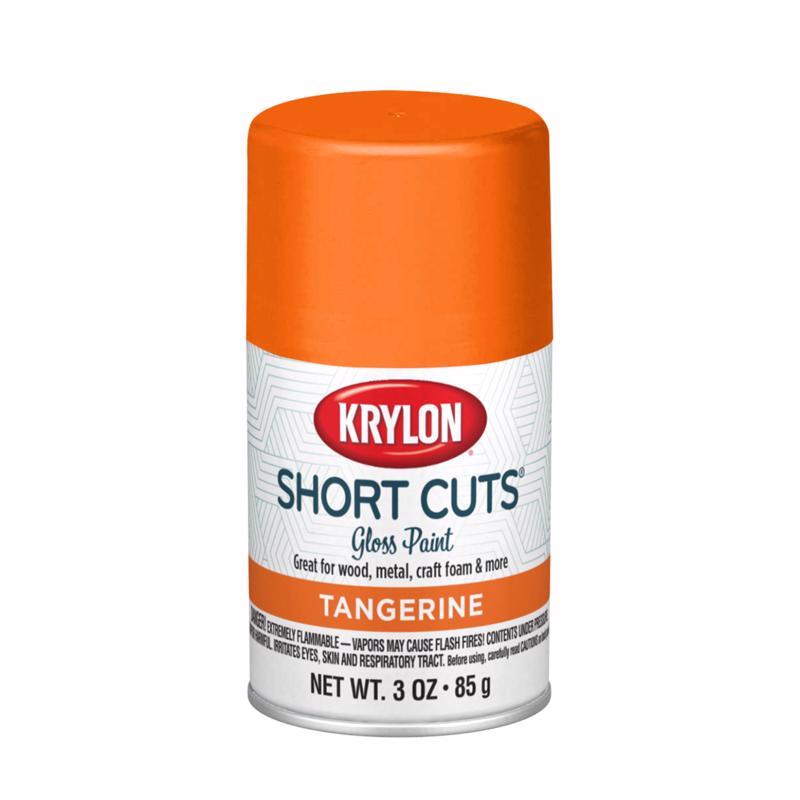 Krylon Short Cuts Gloss Tangerine Spray Paint 3 oz