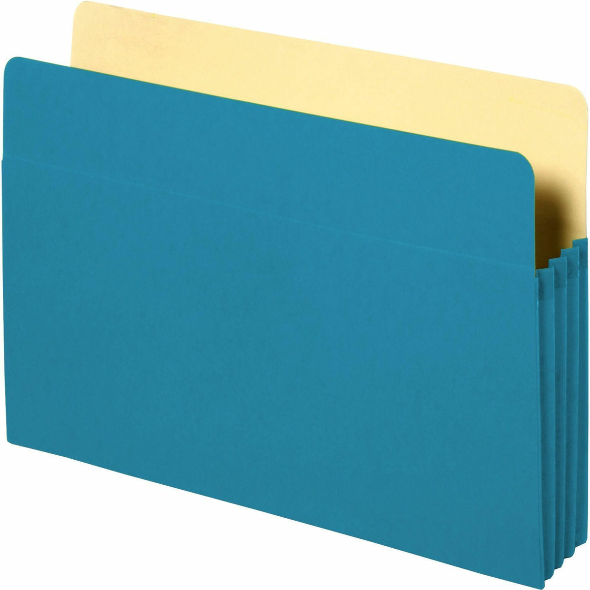 Business Source Letter Recycled File Pocket - 8 1/2" x 11" - 3 1/2" Expansion - Blue - Tyvek Gusset, Durable, Reinforced