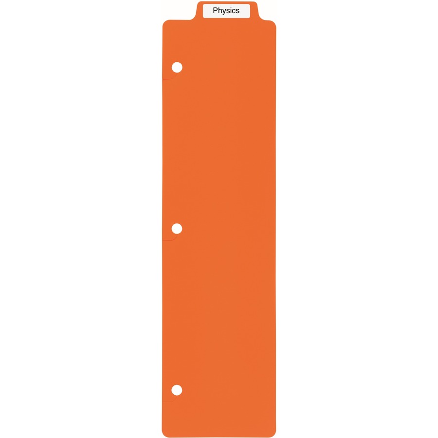 Avery® Snap-In Plastic Bookmark Dividers, 5 Tabs, 1 Set, Multicolor (24908) - Monthly - 1 Month Single Page Layout - 10"