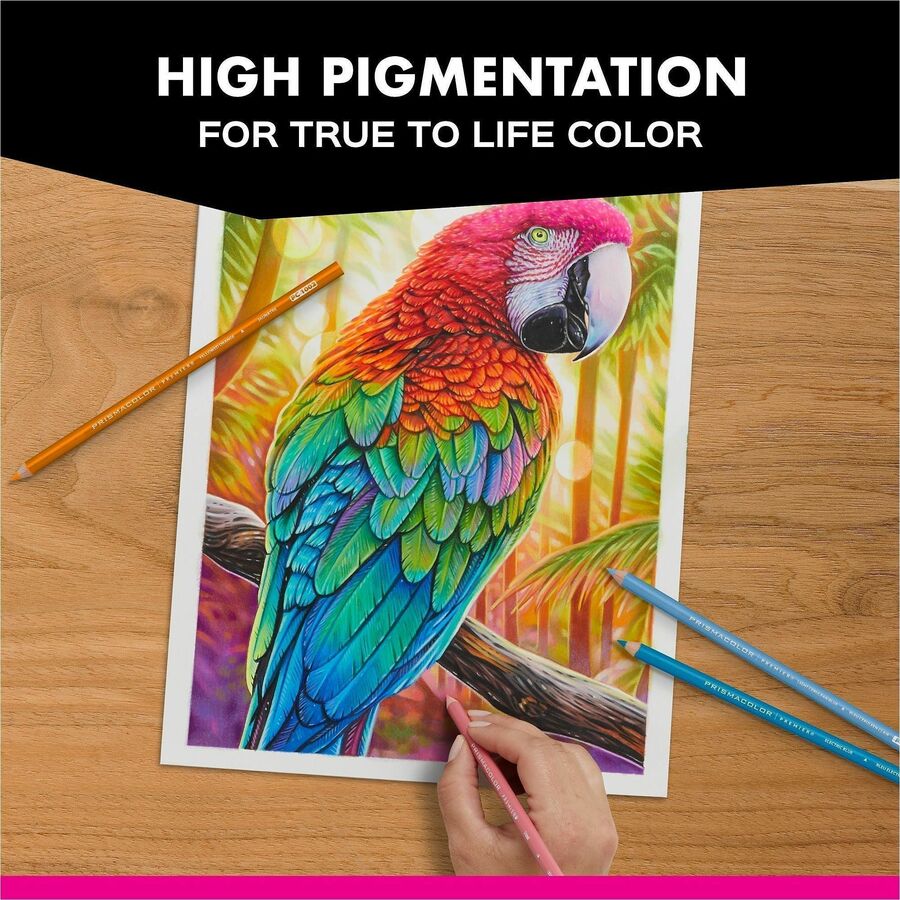 Prismacolor Under Sea Coloured Pencil Set - 12 / Pack