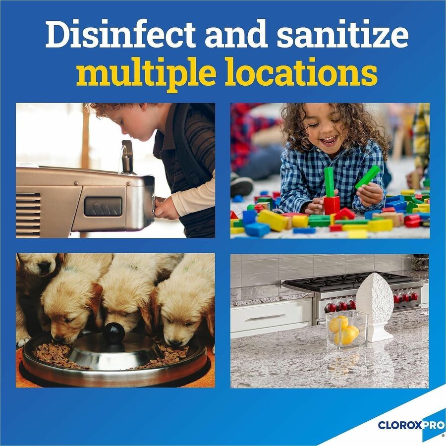 CloroxPro™ Anywhere Daily Disinfectant and Sanitizer - For Kitchen, Office, Breakroom, Day Care, Restaurant - Spray - 32