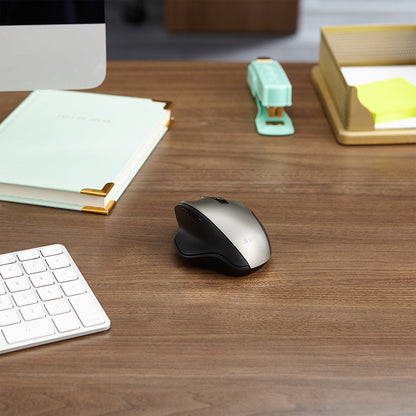 Verbatim Ergo Wireless Blue LED Mouse - Blue LED/Optical - Wireless - Radio Frequency - 2.40 GHz - Graphite - USB - 1600