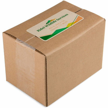 Avery® Shipping Labels,, Kraft Brown, 2" x 4" , 250 Labels (5784) - 2" Height x 4" Width - Permanent Adhesive - Rectangl