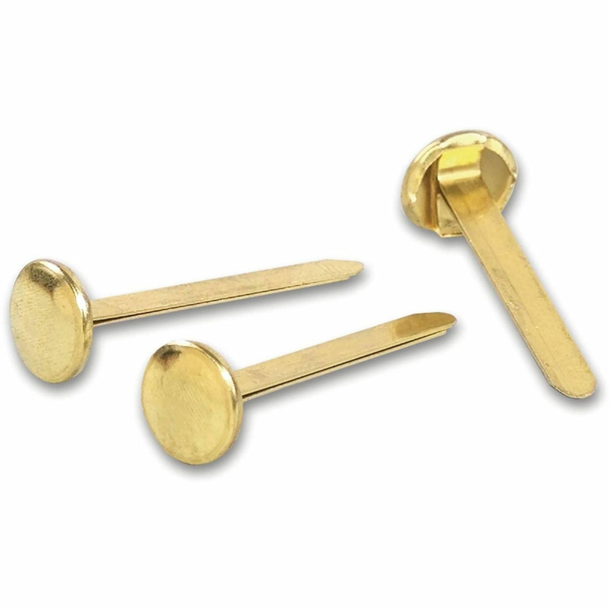 ACCO Solid Brass Round Head Fasteners - 1.25" Shank - 0.5" Diameter - Brass - Brass - 100 / Box