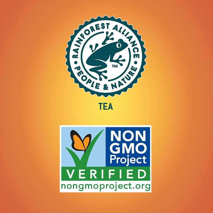 Tejava Lemon Black Tea Bottle - GMO Free - 24 / Carton