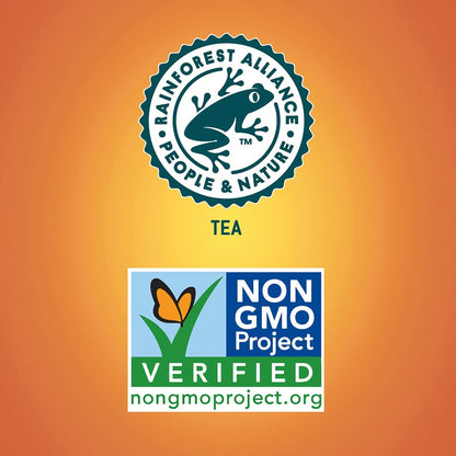 Tejava Pineapple Black Tea Bottle - GMO Free - 12 / Carton