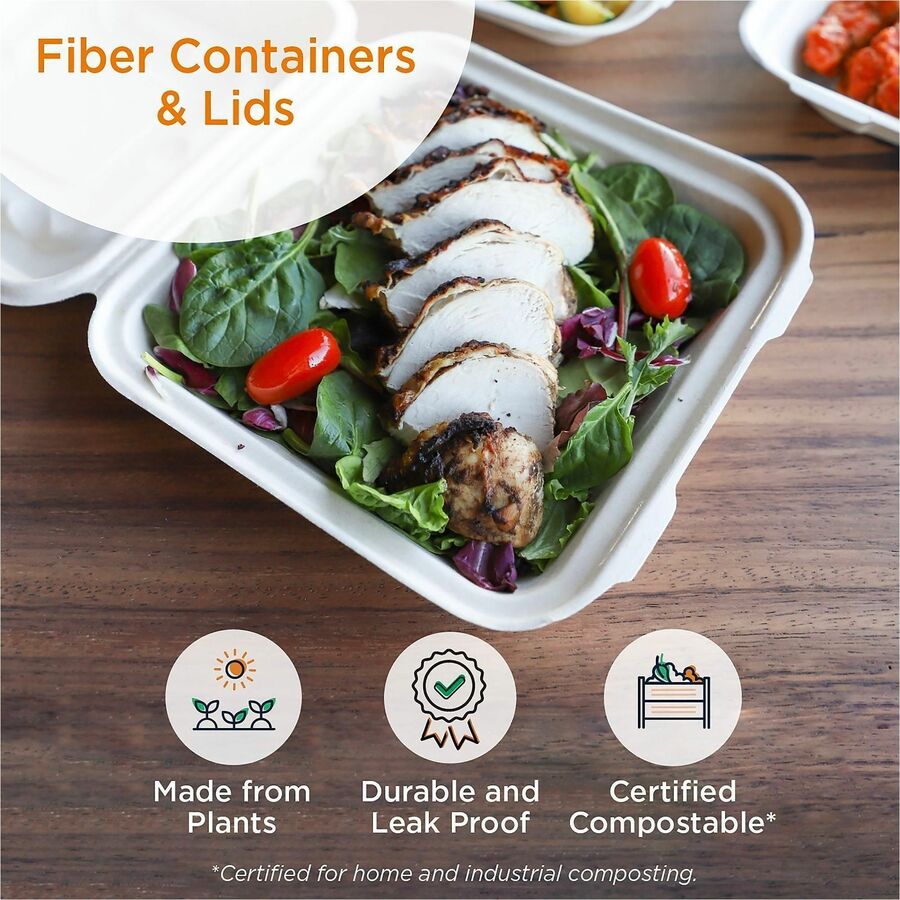 World Centric Compostable Fiber Trays - Food, Commercial, Serving - Natural - Fiber Body - 50/Pack - 2 / Carton