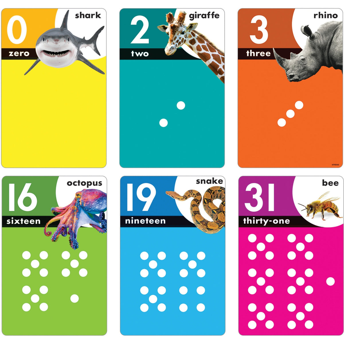 Trend Animals Count 0-31 Learning Set with Numbered Counting Cards - Theme/Subject: Fun - Skill Learning: Animal Shapes,