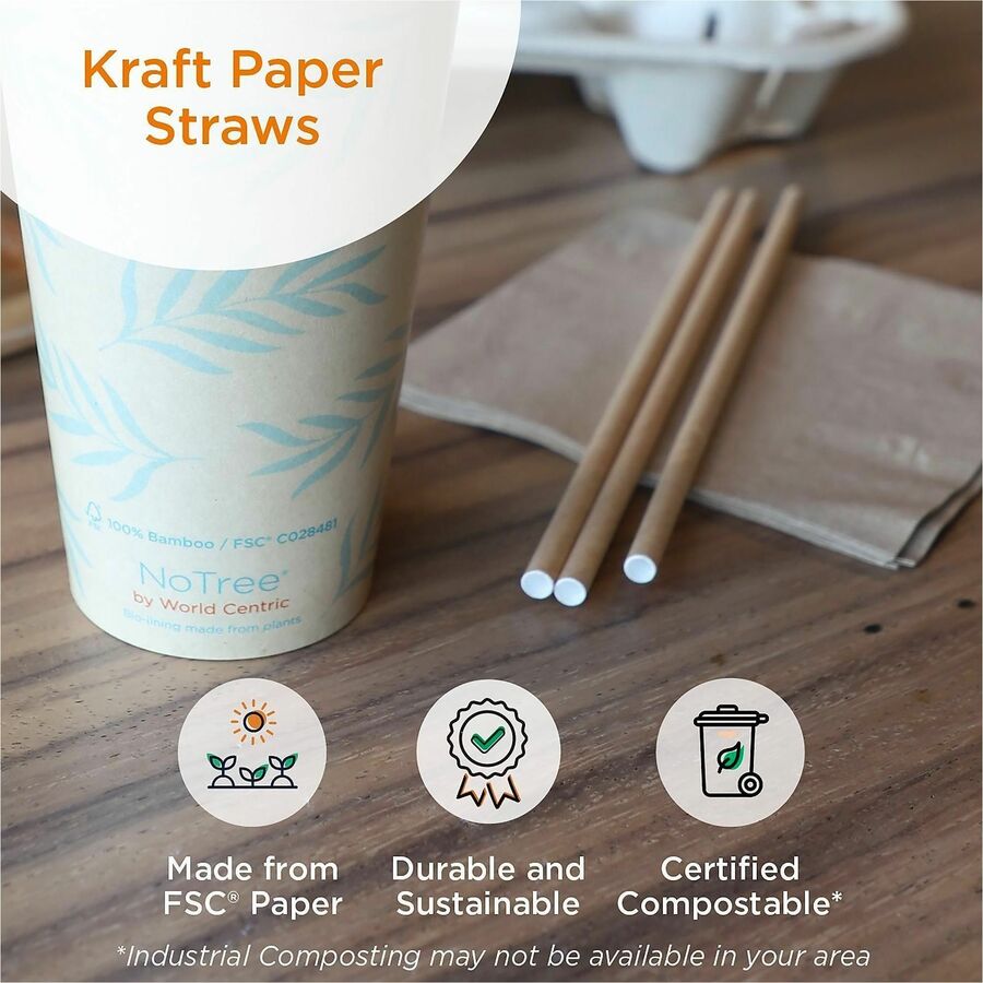 World Centric Compostable Kraft Paper Straws - 8" Length x 0.2" Width x 0.2" Height - Kraft Paper - Natural - 100 Straws