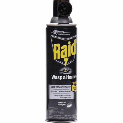 Raid Wasp and Hornet Killer 33 - Spray - Kills Wasp, Hornet, Mud Dauber, Yellow Jacket - 14 fl oz - White - 1 Each