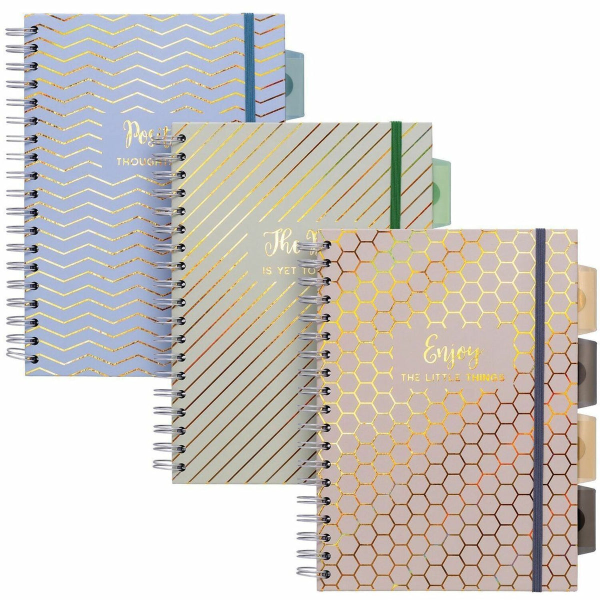 Pukka Pads Haze Notebook - 100 Sheets - 200 Pages - Twin Wirebound - 80 g/m² Grammage - Clear Poly, Transparent Cardboar