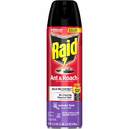 Raid Ant & Roach Killer Spray - Spray - 1 Each