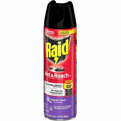 Raid Ant & Roach Killer Spray - Spray - 1 Each