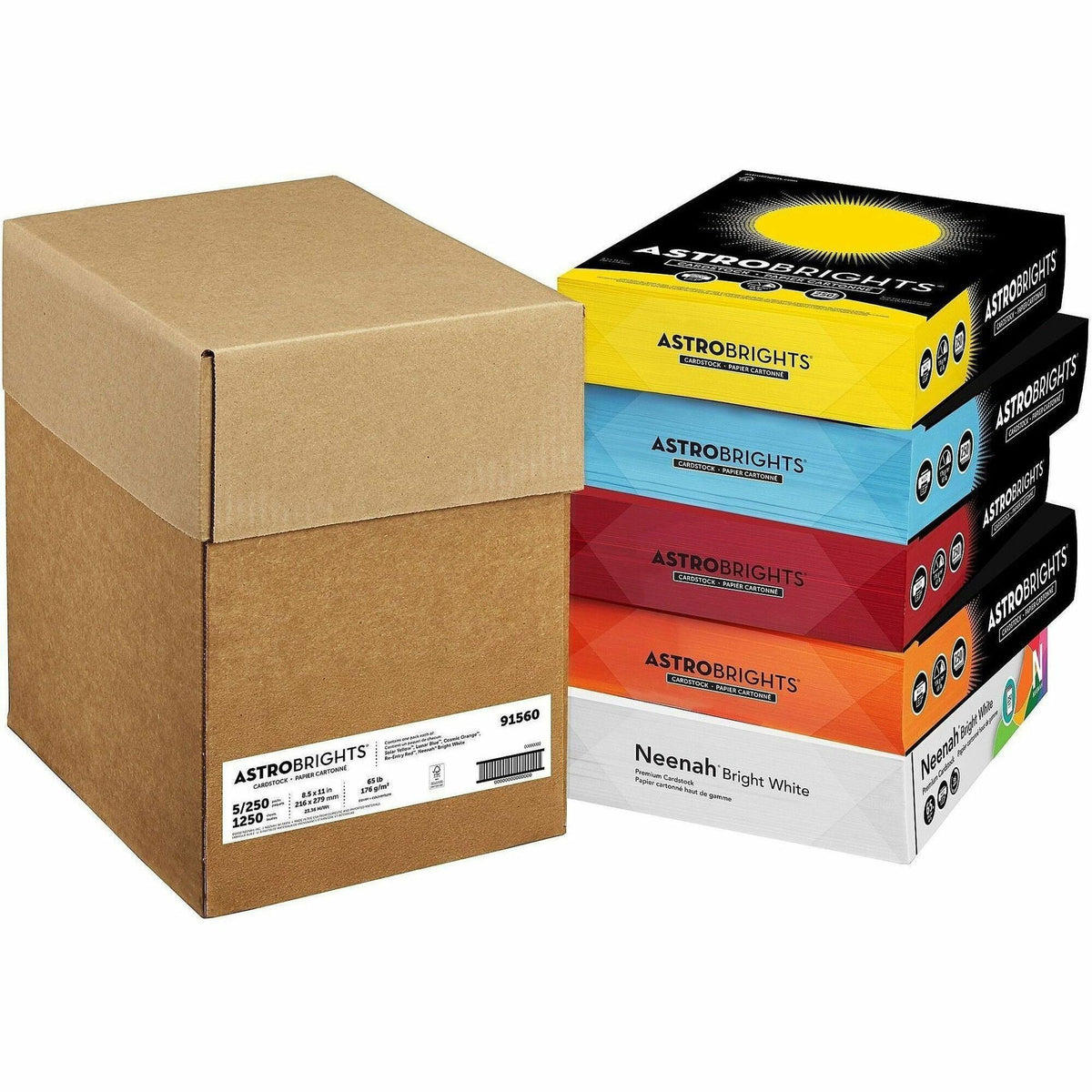 Astrobrights Printable Multipurpose Card - Letter - 8 1/2" x 11" - 65 lb Basis Weight - Smooth - 5 / Carton