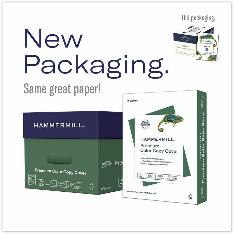 Hammermill Copier Digital Cover - 100 Brightness - 98% Opacity - 18" x 12" - 80 lb Basis Weight - 1000 / Carton