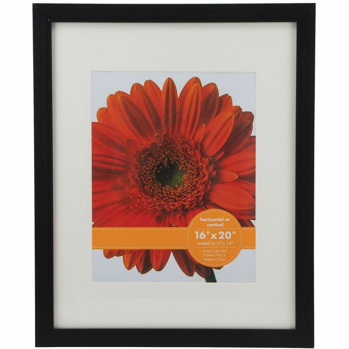 Victory Light 16" x 20" Poster & Photo Frame - 16" x 20" Frame Size - Durable, Dust Resistant - Cappuccino - 2 / Pack
