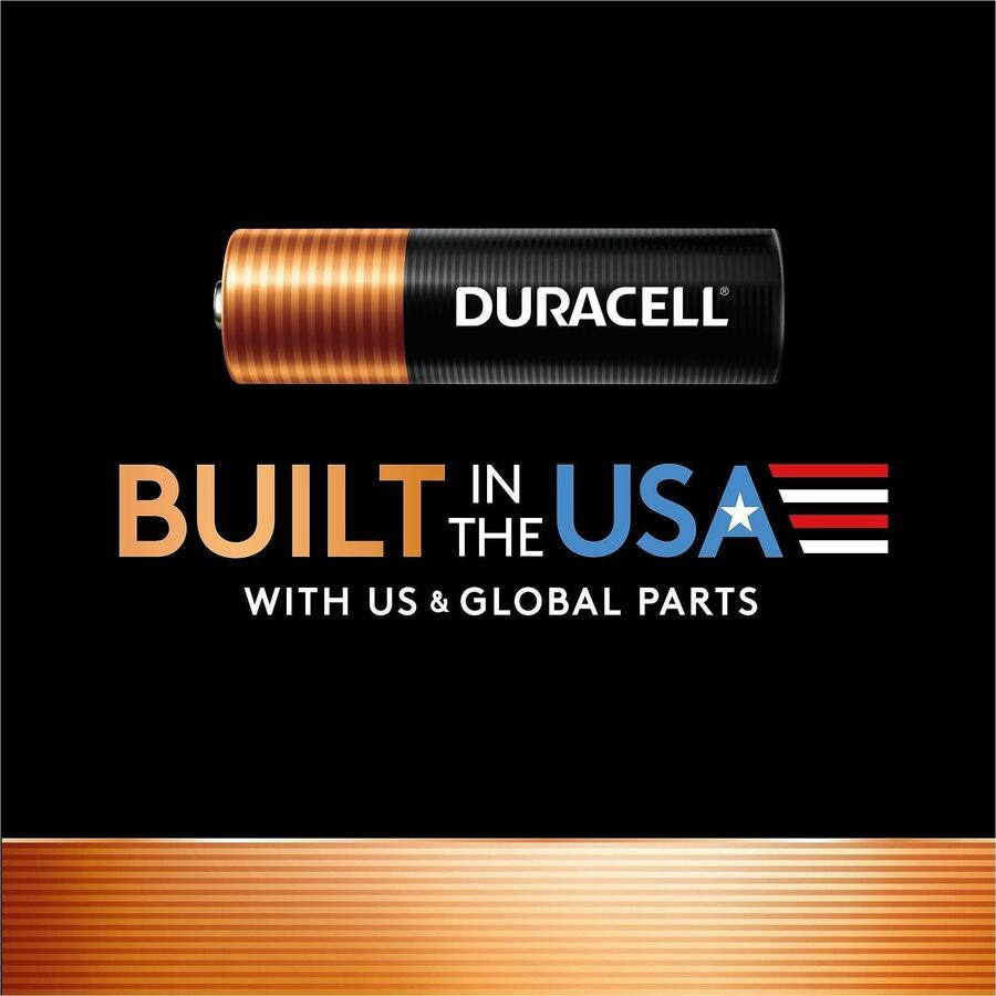 Duracell CopperTop Alkaline AAA Batteries - 24 / Pack