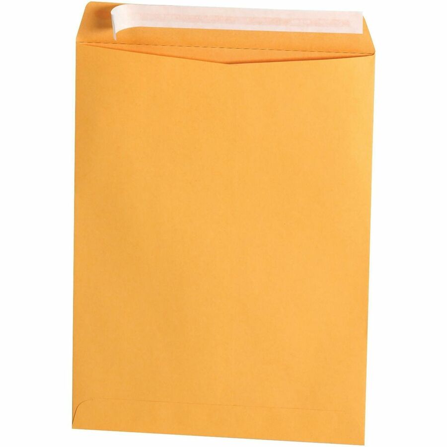 Business Source Kraft Peel-and-Stick Catalog Envelopes - Catalog - 9" Width x 12" Length - Peel & Stick - Brown - Kraft 