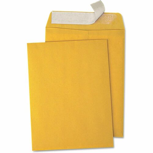 Business Source Kraft Peel-and-Stick Catalog Envelopes - Catalog - 9" Width x 12" Length - Peel & Stick - Brown - Kraft 