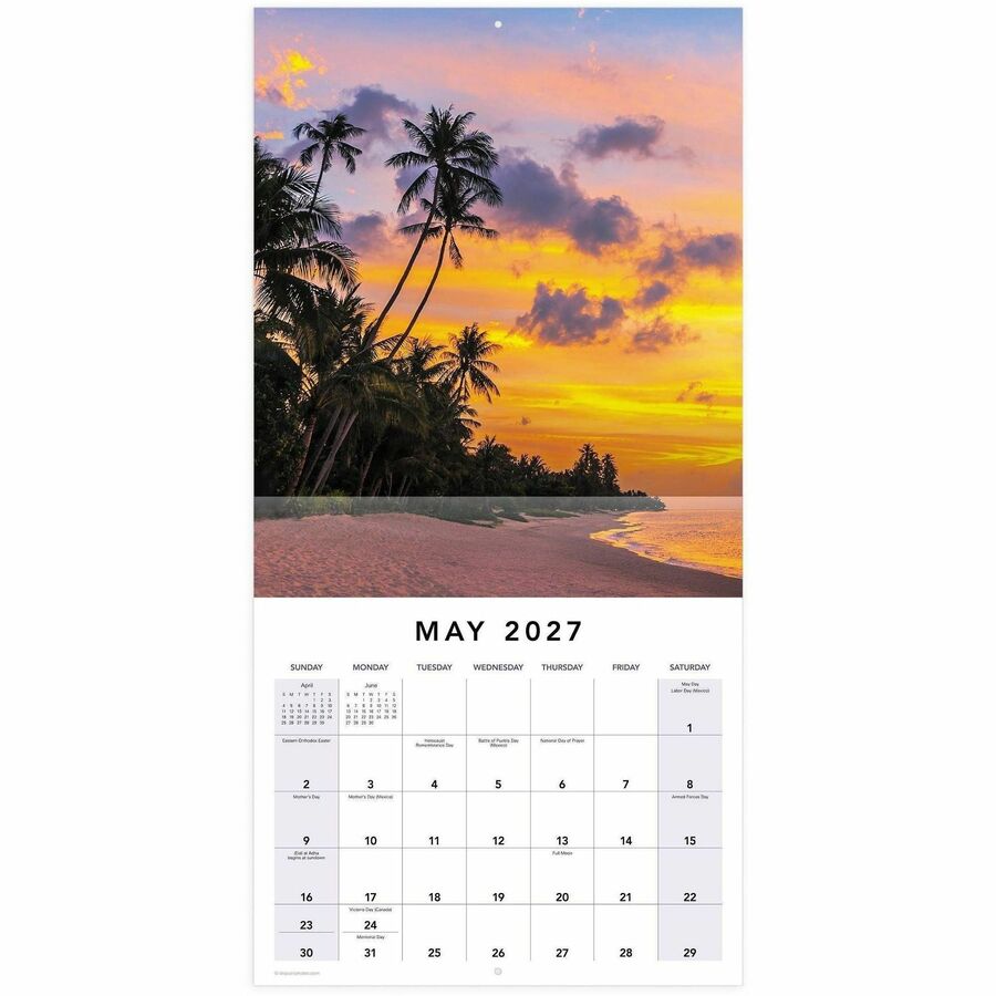 Mead Paradise Monthly Wall Calendar - Monthly - 12 Month - January 2027 to December 2027 - 12" x 12" Sheet Size - 1.37" 