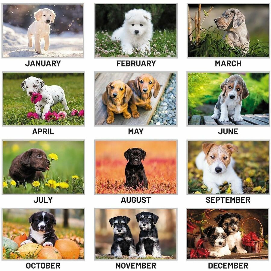 At-A-Glance Puppies Desk Pad - Standard - Monthly - 12 Month - January 2027 to December 2027 - 1 Month Single Page Layou